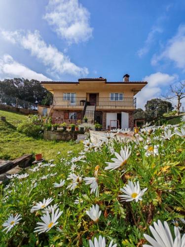 La Franca Apartment | Apartamento con jardín