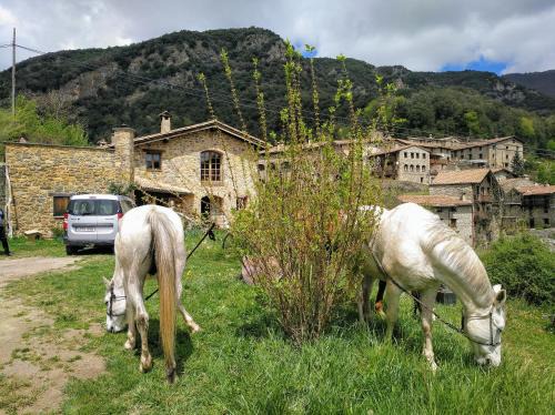 Beget Bed & Breakfast | Bed&Breakfast la Cabanya de Beget