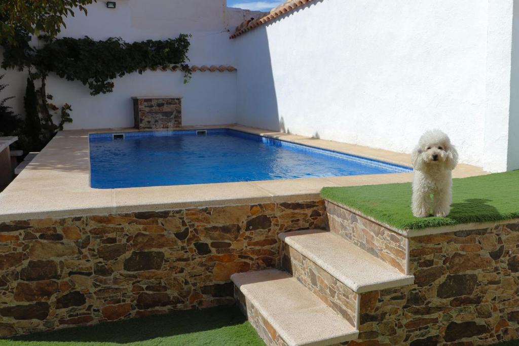 Arenales de San Gregorio House | Casa Rural Eufemia