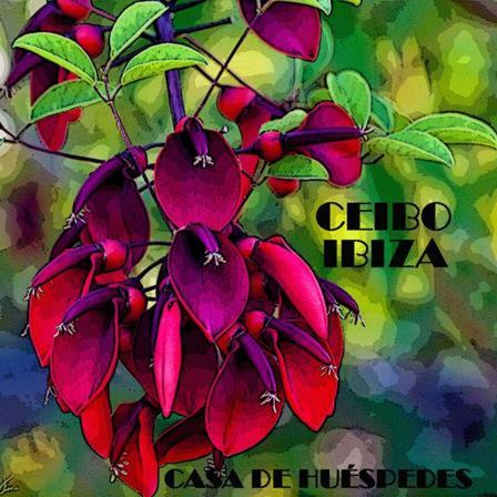 Ibiza City Centre Hostel | Ceibo Ibiza - Guest House