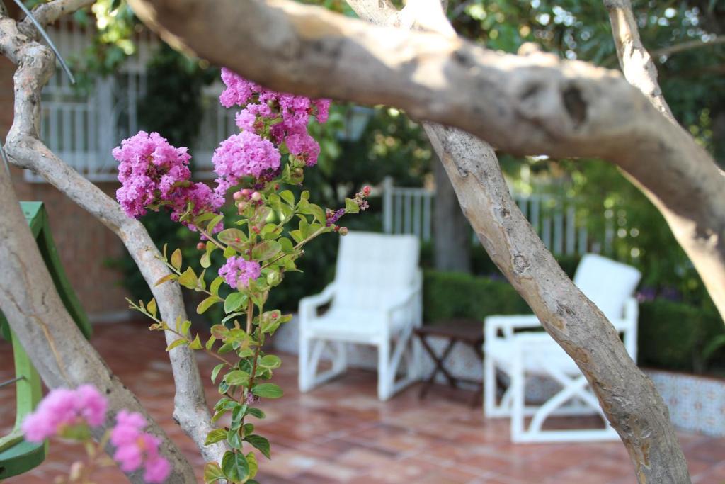 Barrio de la Vega House | El jardín de la abuela