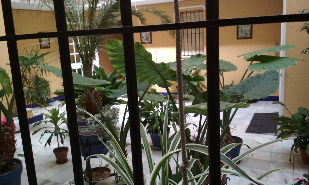 Alameda Apartment | Entire two bedroom apartment