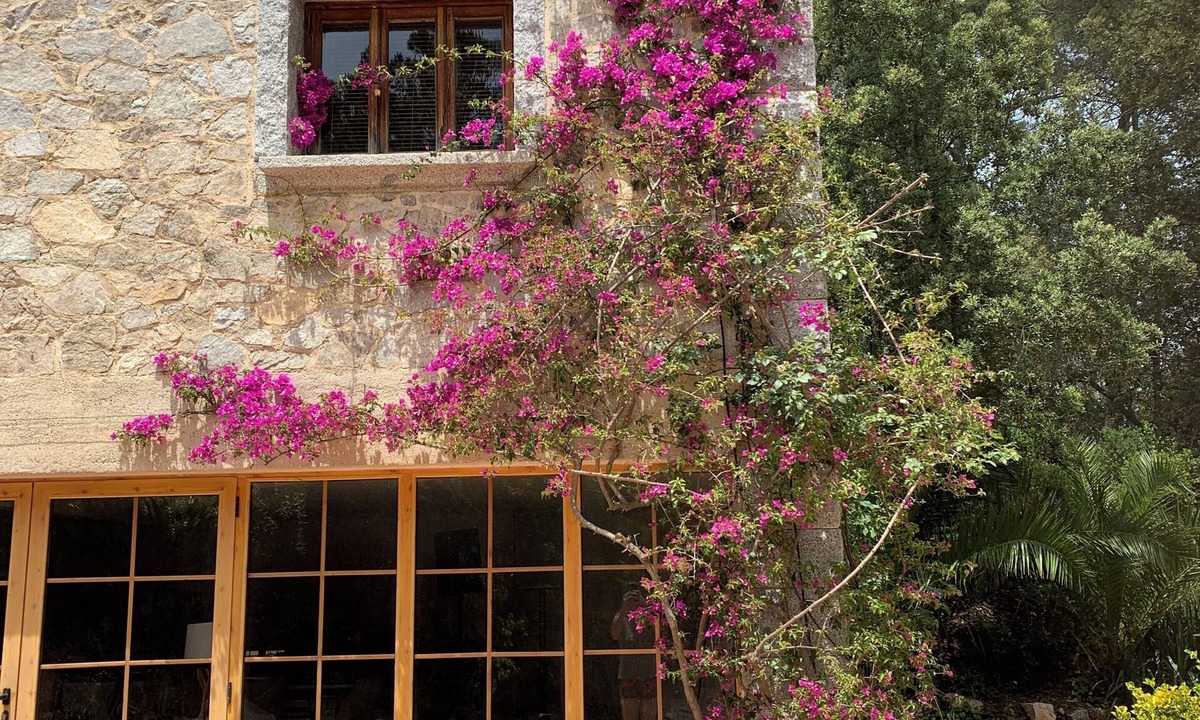 Dosrius Apartment | Forest retreat, close to Barcelona and Beaches