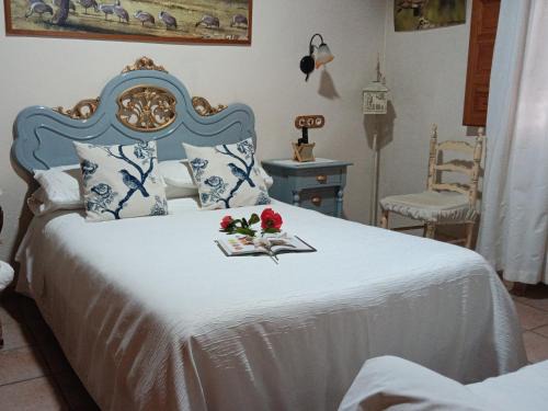 Torrejon El Rubio Apartment | Habitaciones y casa rural monfrague