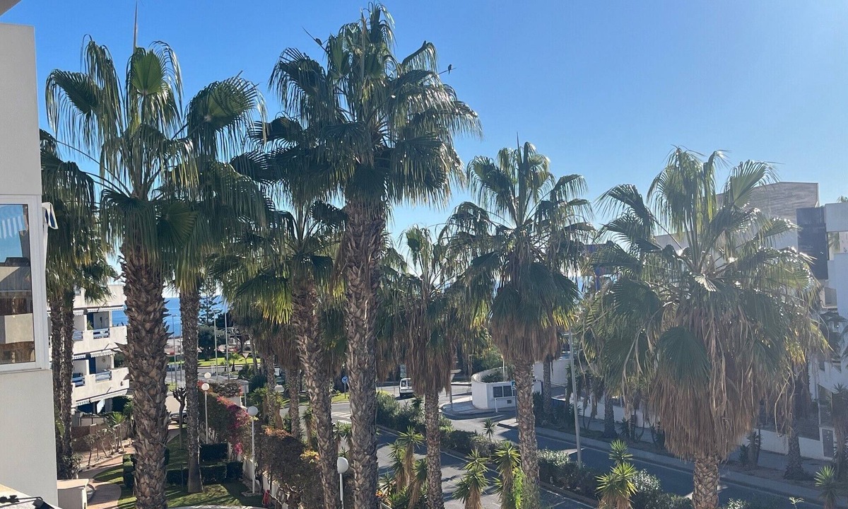 Flamenca Beach Apartment | Sunny Palm Apartment - La Calma/4 swimming pools 500m to the sea!