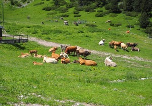 Apartament a La Molina, grans vistes, llar de foc