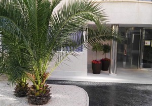 Azul Rentals Benidorm flat, walk to beach, bars.
