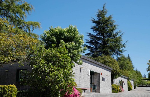 Santiago de Compostela Hostel | Hostel ∙ 8 guests