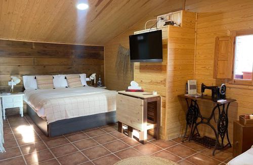 Castellgali Apartment | Cal General