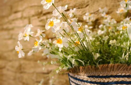 Ger House | Casa en La Cerdanya, Ger Rodeado de naturaleza