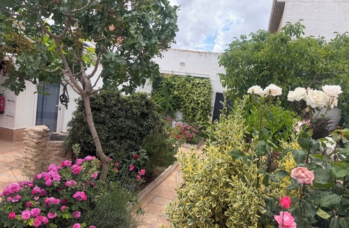 Arenales de San Gregorio Cottage | Casa Rural Casa Eufemia, Luxury Rural House in Arenales de San Gregorio