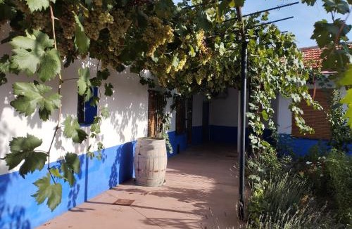 Arenales de San Gregorio House | Casa Parras de Medina