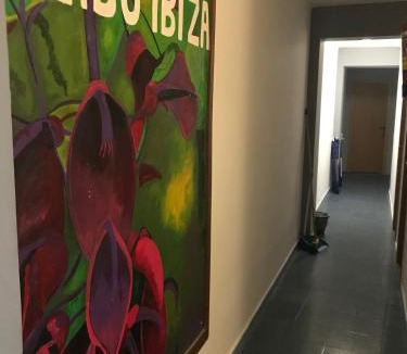 Ibiza City Centre Hostel | Ceibo Ibiza - Guest House