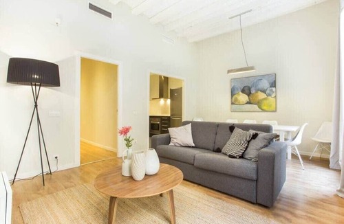 El Raval Apartment | Centric 4bedroom with terrace in Las Ramblas