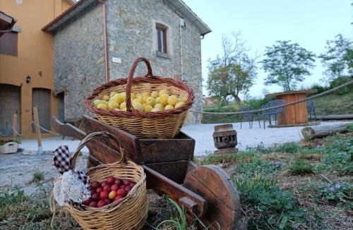 Sant Pere de Torello House | LES ROVILES