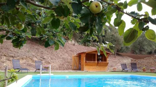 Sant Feliu de Buixalleu House | Masia Can Orta
