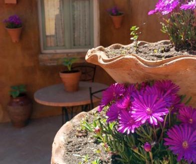 Piera Apartment | Masoala Forest