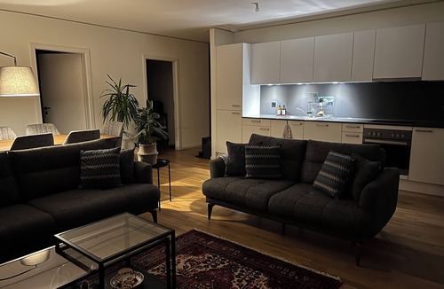 Crissier Apartment | Modern Fully Equipped Apartment - Free Parking