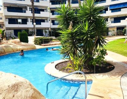 Flamenca Beach Apartment | Palm Apartment - La Calma