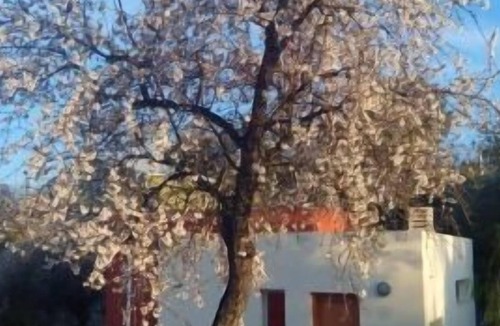 Calles Cottage | Self catering cottage La Aldea for 2 people