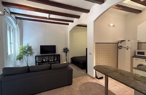 El Raval House | Spacious 1850 Raval 46m Loft. Ideal for Couples and Digital Nomads. Pet-Friendly