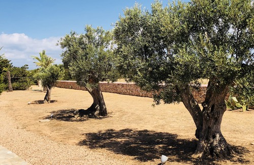 Formentera Villa | VILLA IMMERSED IN THE NATURE OF FORMENTERA