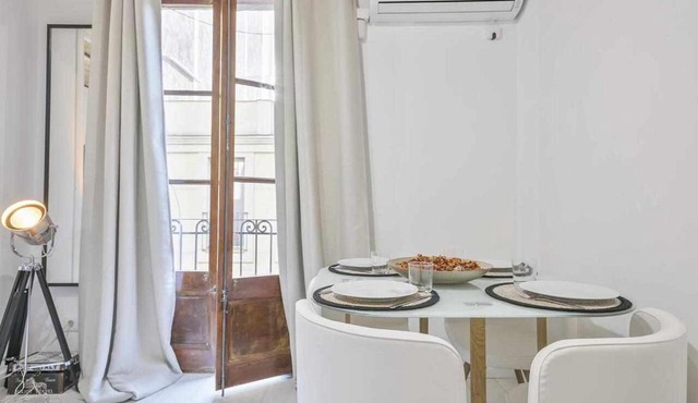 Apartamento Alejandro en BCN