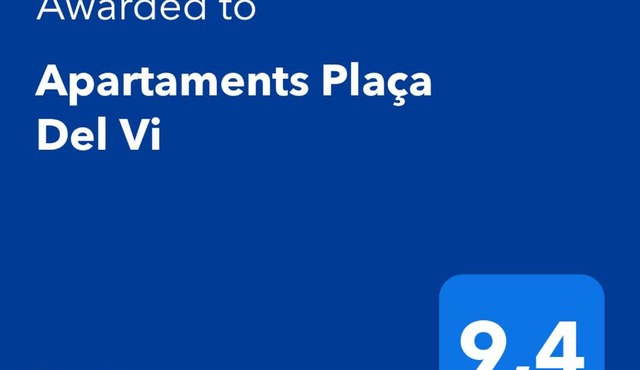 Apartaments Plaça Del Vi
