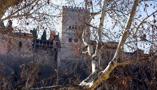 Apartment on the Alhambra's Front Line, Paseo de los Tristes. Free Parking