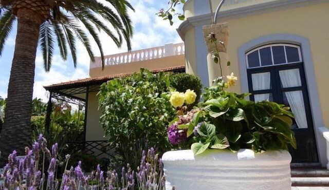 Beautiful flat with garden in Puerto De La Cruz