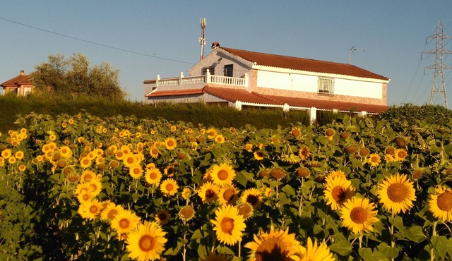 CASA LOS GIRASOLES Magnificent house to enjoy a great vacation