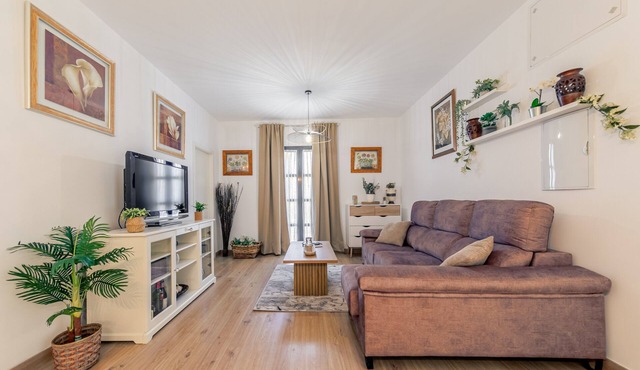 Central Apartment in Seville