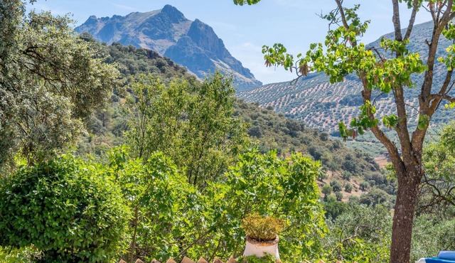 Cerro de la Cruz,charmantes Bauernhaus mit bester Aussicht,im Zentrum Andalusie by Interhome
