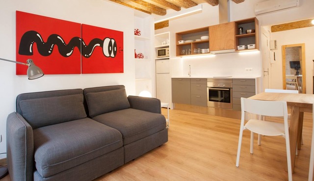 Cozy El Born flat near Picasso museum