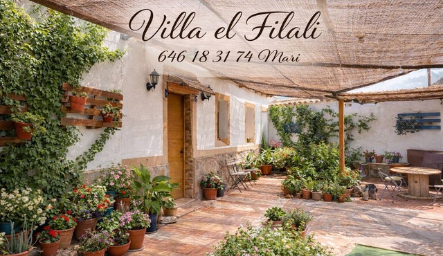 "El Filali" House