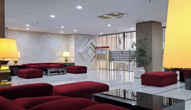Executive Apartment: Elegant Comfort Near Bernabeu and Shopping