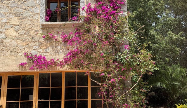 Forest retreat, close to Barcelona and Beaches