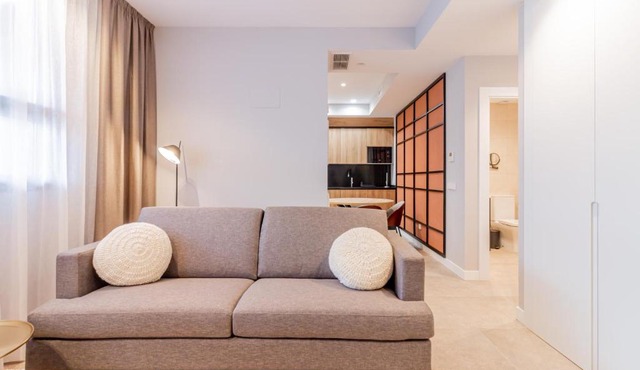 Home Art Apartments Bernabéu