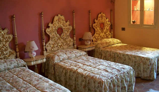 Hotel Masia Can Vive