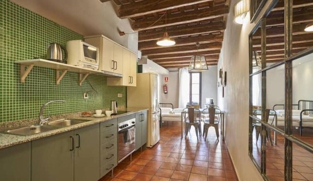 Ideal 2bedroom city centre-Plaza Cataluña -parking