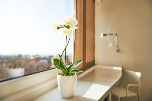 Le Leman Hotel in Vevey