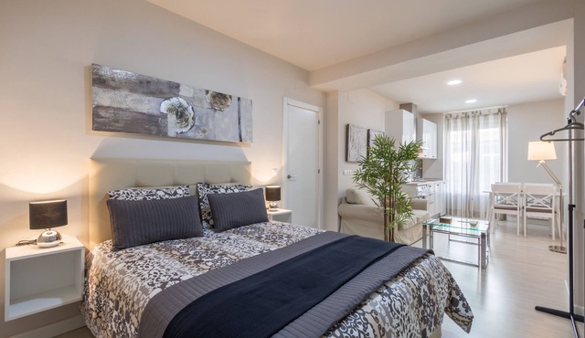 LOFT IN THE CENTER OF GRANADA (RECOGIDAS)