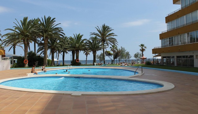 Newly renovated apartment, located 50 meters from the sea, with swimming pool.