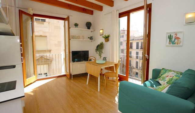 Nice Studio in Palma Centro, Bright with Balcony, Wifi, Air Conditioning