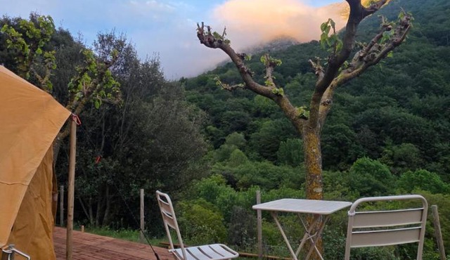 Nova Forest Montseny
