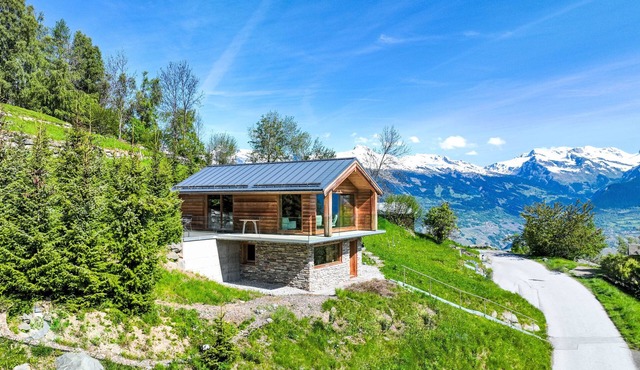 Papillon by Interhome in Nendaz