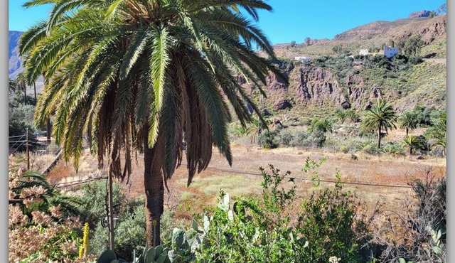 Rural house Rosiana. Genuine Canarian country house