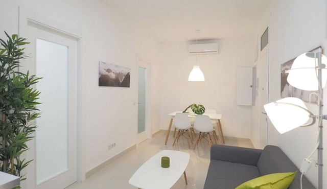 Spectacular apartment in Almagro