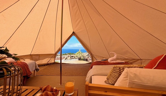 The Treehouse Surf Camp