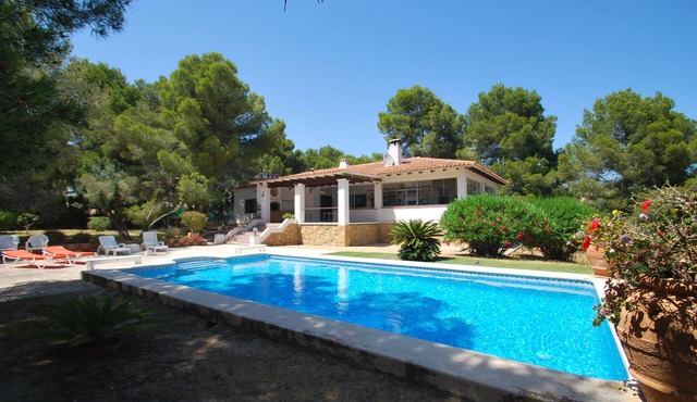 Villa Alguers Summary